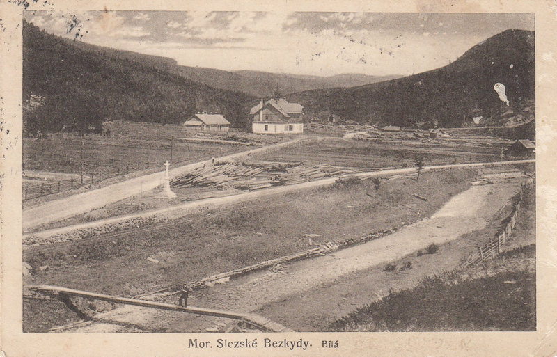 MORAVSKOSLEZSKÉ  Bílá