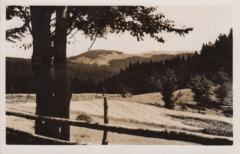 SLEZSKÉ BESKYDY - Bílý Kříž 