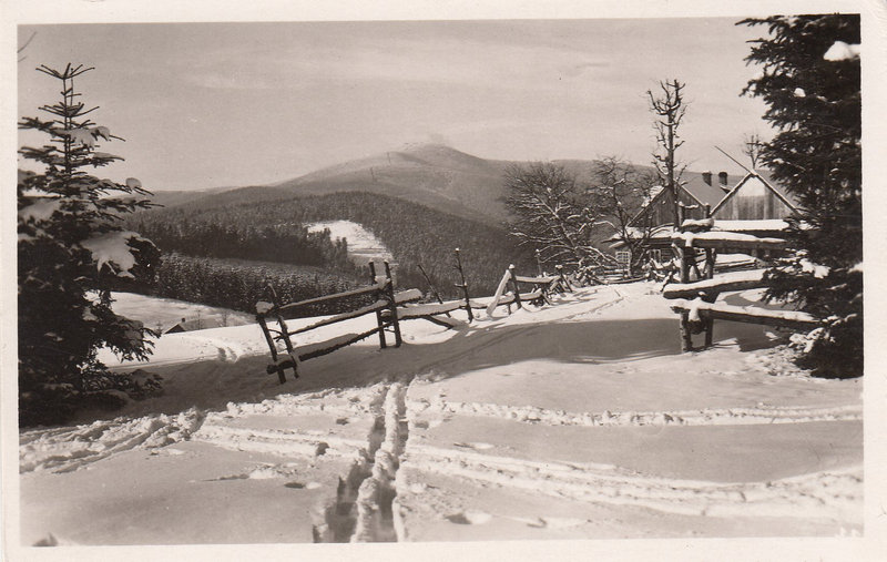 SLEZKÉ BESKYDY - Pohled od Visalají na Lysou 