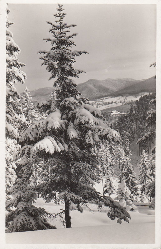 SLEZSKÉ BESKYDY - Pohled z Křížových cest na Malý Polom. 