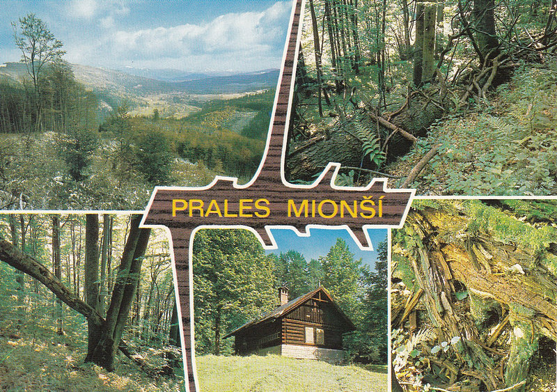 PRALES MIONŠI