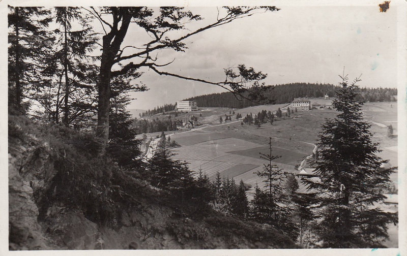 Slezské Beskydy - Bílý Kříž (943 m n. m.)