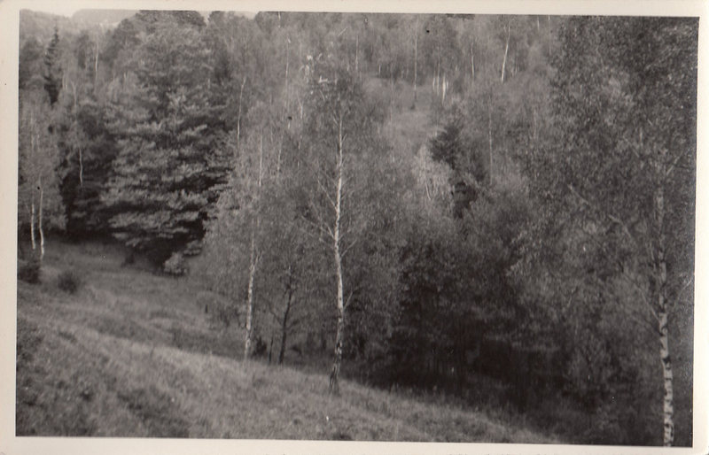 M001004