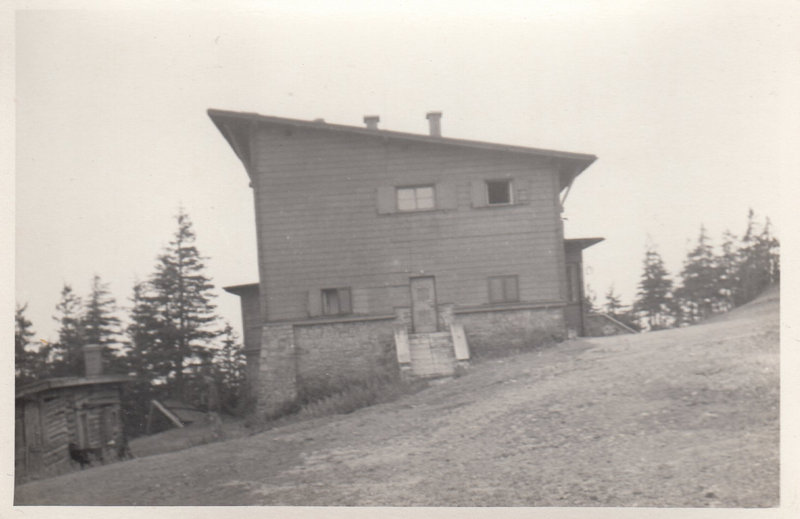 M001006
