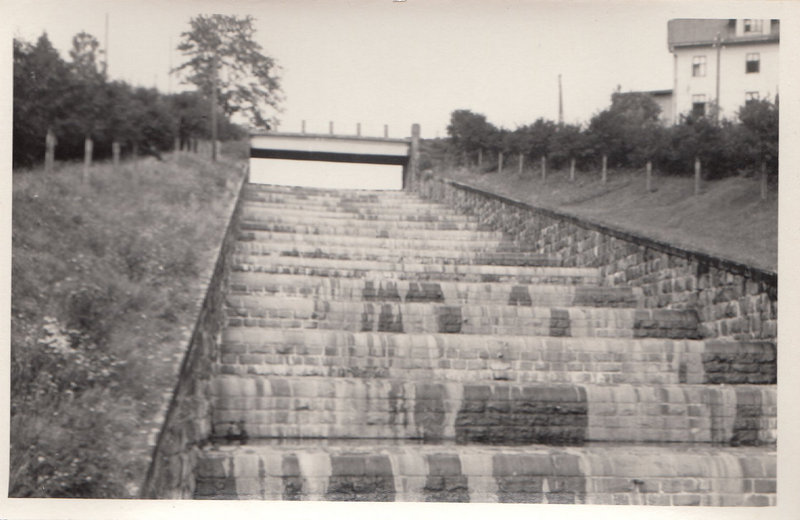M001017