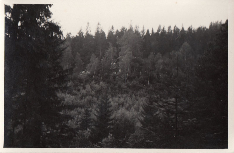 M001020