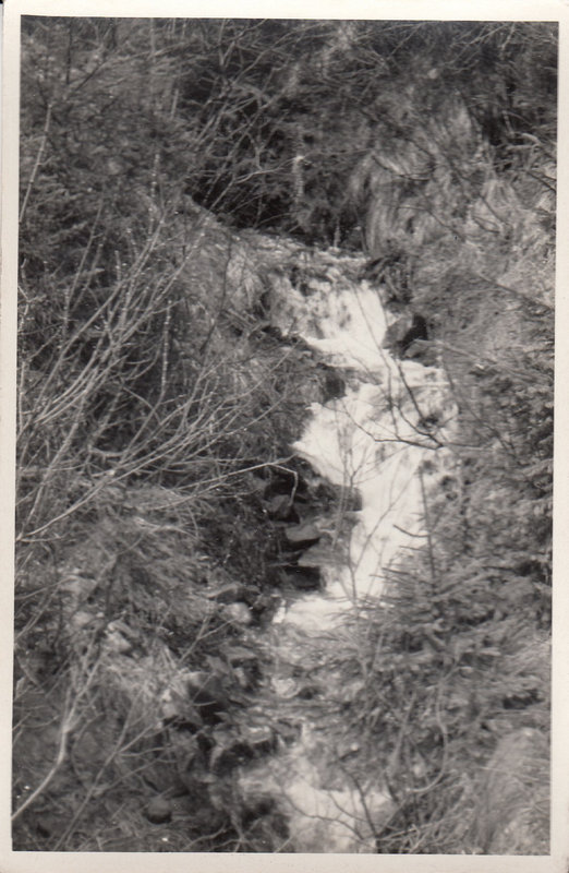 M001024