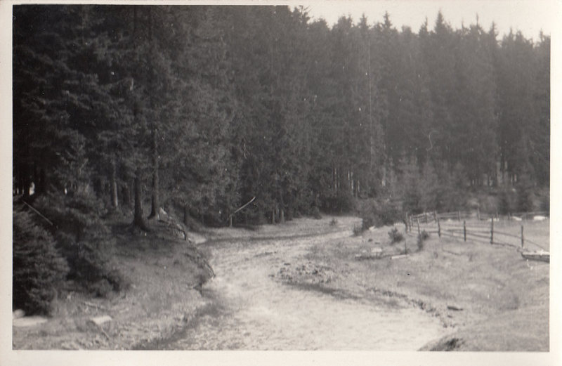 M001025