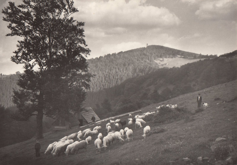 TĚŠÍNSKÉ BESKYDY