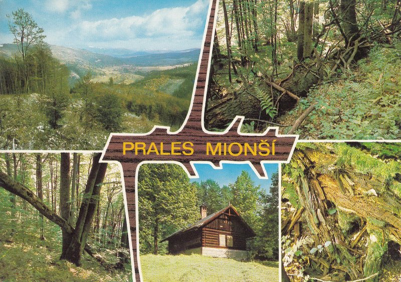 PRALES MIONŠI
