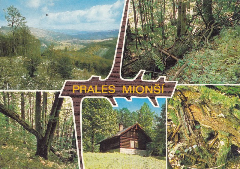 PRALES MIONŠI