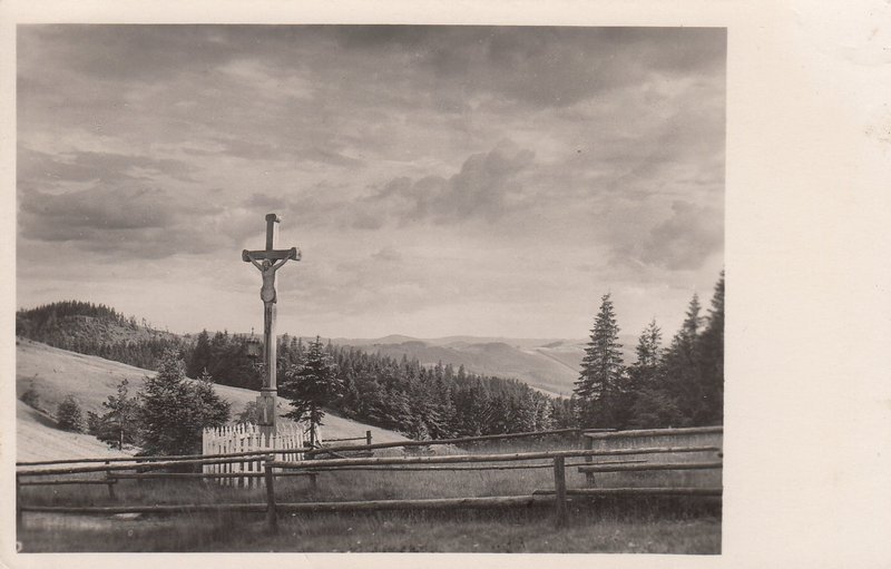 M001135