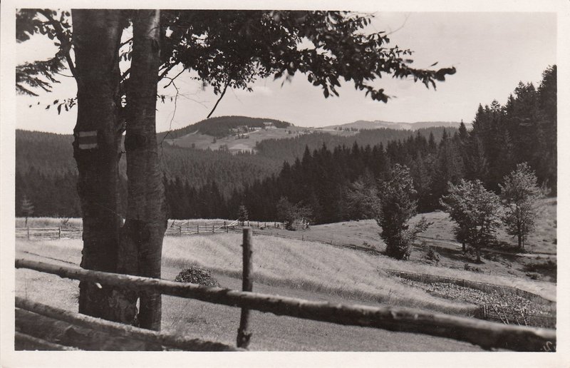 SLEZKÉ BESKYDY - Pohled s Gruně na Bílý Kříž.