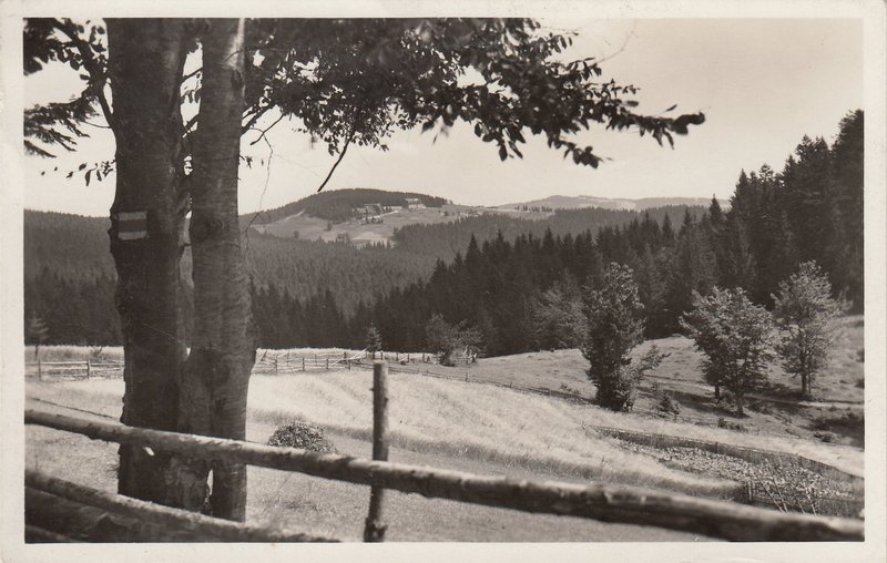 Slezské Beskydy. Bílý Kříž.