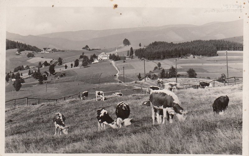 BESKIDEN - BESKYDY - Na Gruni 