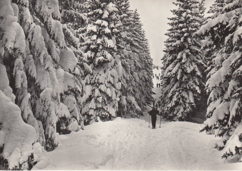 TĚŠÍNSKÉ BESKYDY -Javorový