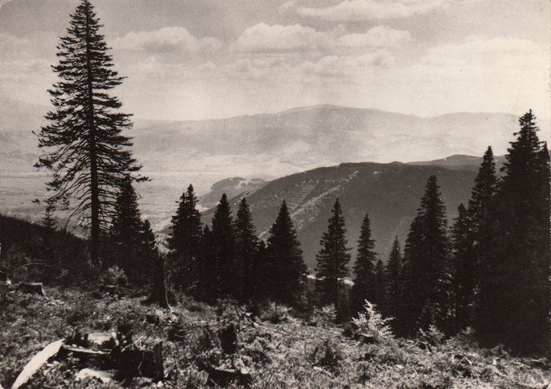 BESKID SLASKI -Widok ze Skrzyxznergo (1250m)