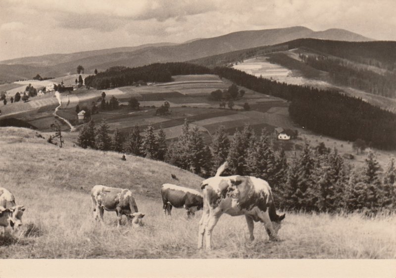 BESKYDY - Gruň