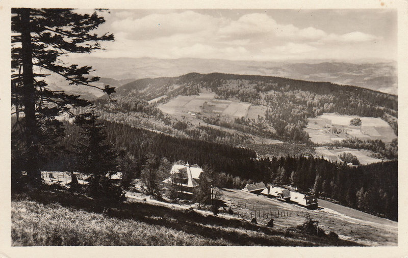 VELKÉ KARLOVICE - Na Velkém Javorníku 1071 m n. m. Vzadu Vsatské Beskydy 