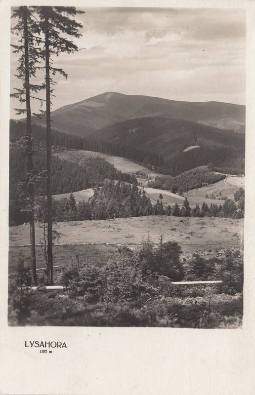 LYSAHORA