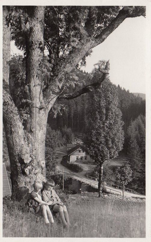 SLEZSKÉ BESKYDY--Údolí Morávky. - Skalka.