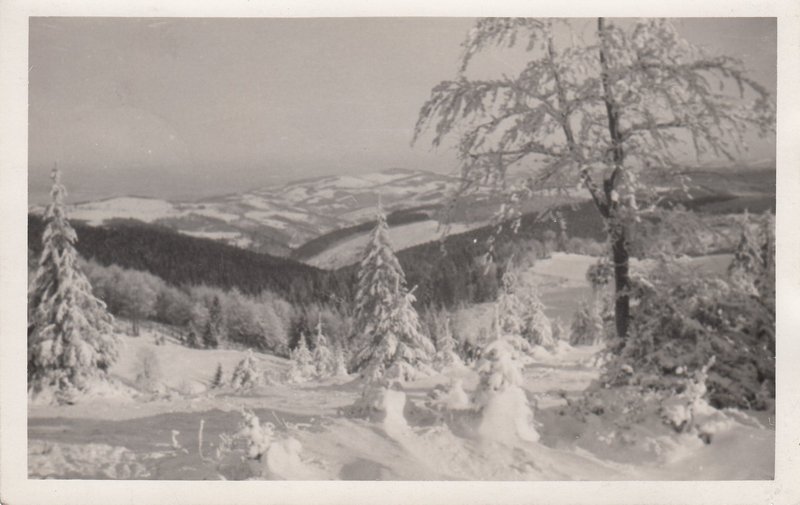 M001603
