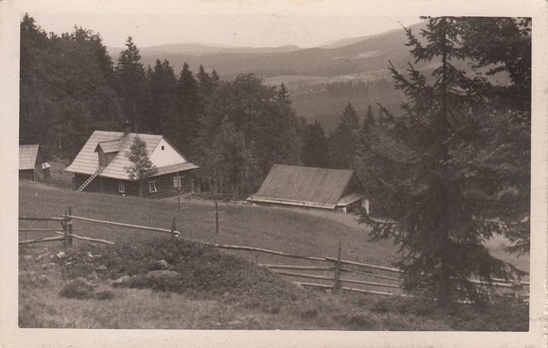 M001663