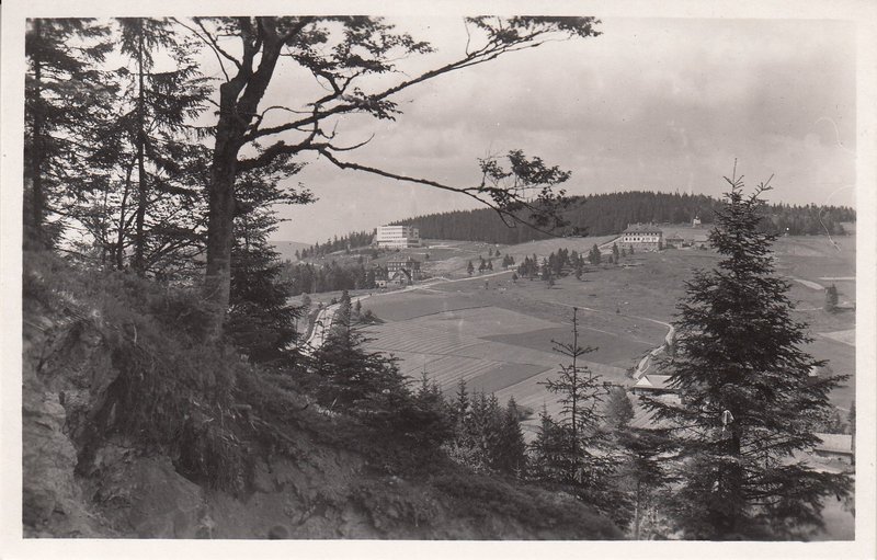 Slezské Beskydy-Bílý Kříž 943 m n m.