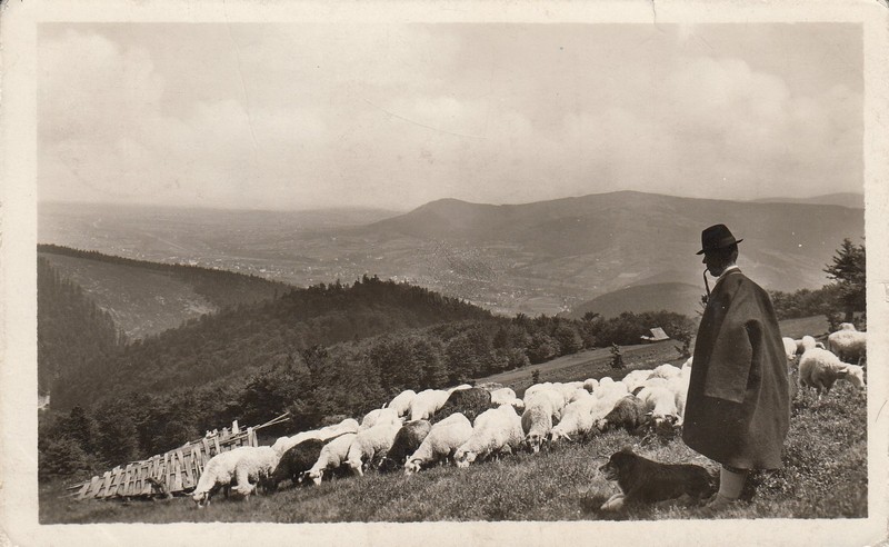 V Beskydách