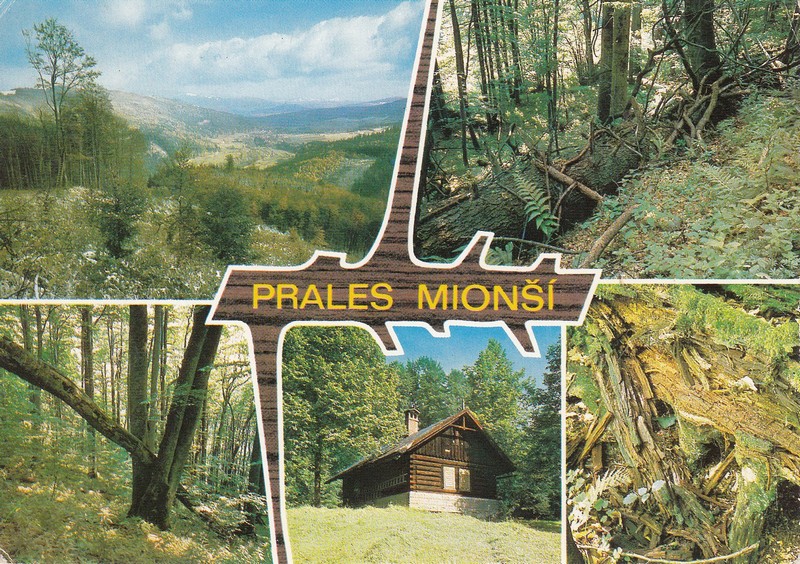 PRALES MIONŠÍ