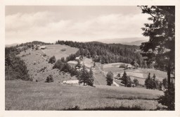 Aus der Umgebung der Beskid - Hütte KTT. - Z okolí chaty KČT. na Beskydě