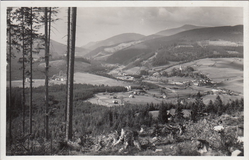 M001952
