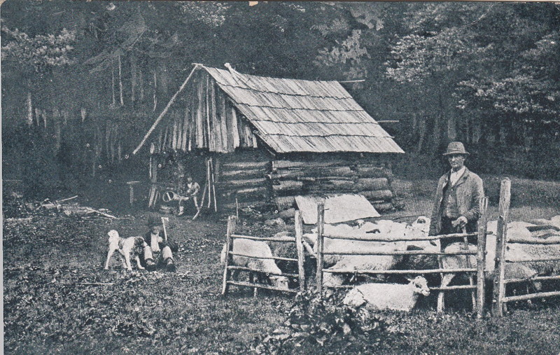 M001958