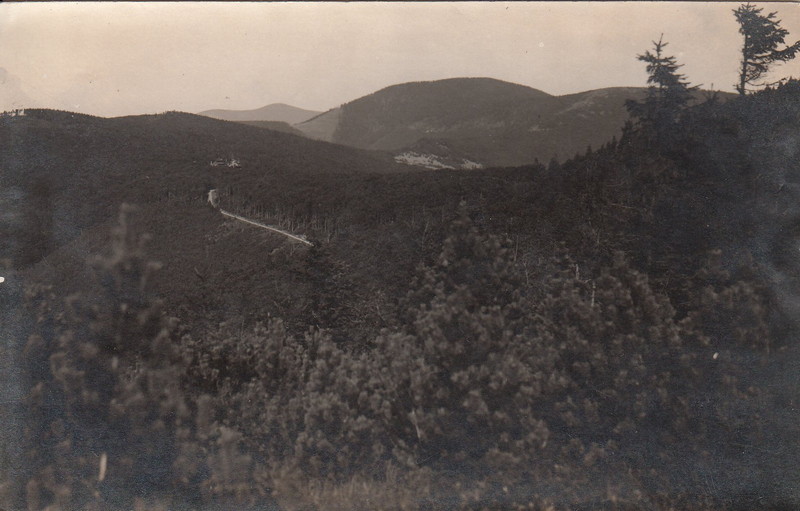 M001960