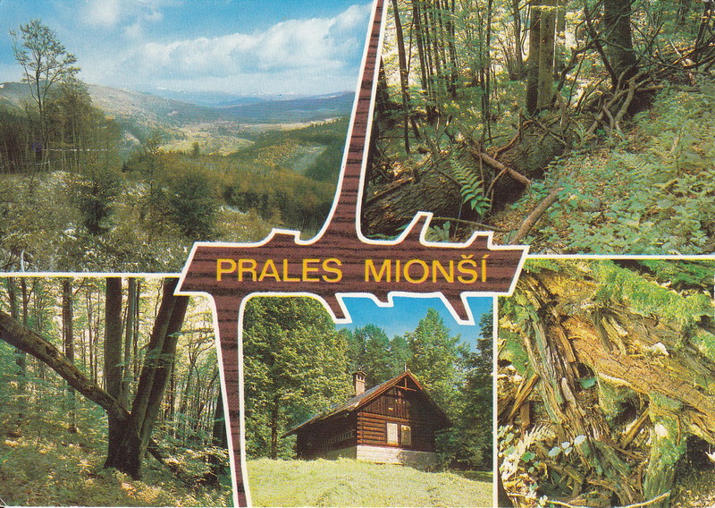 PRALES MIONŠÍ