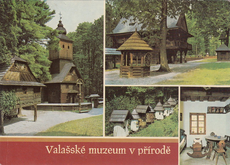 V001805