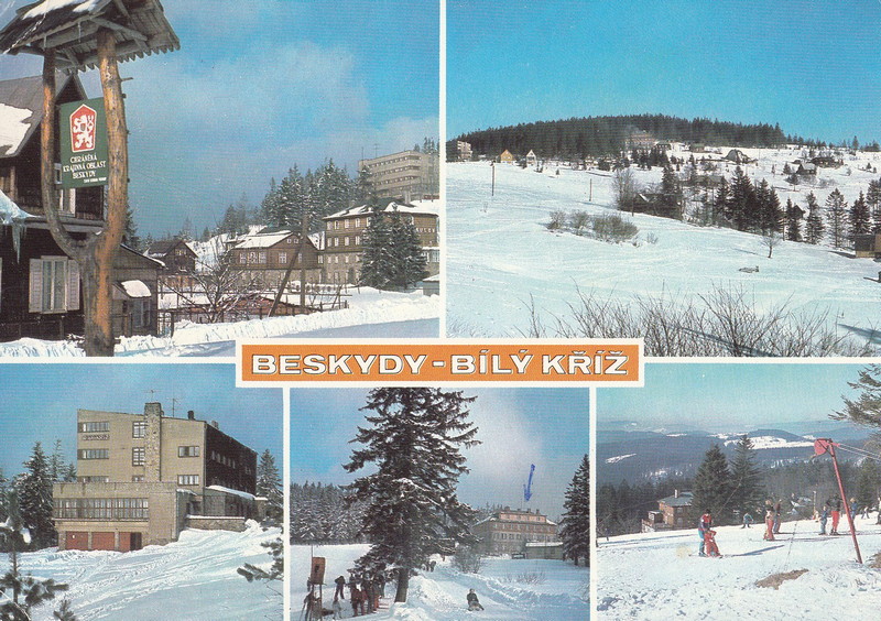 V001838
