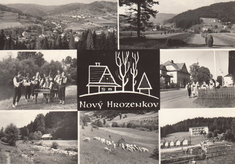 V001894