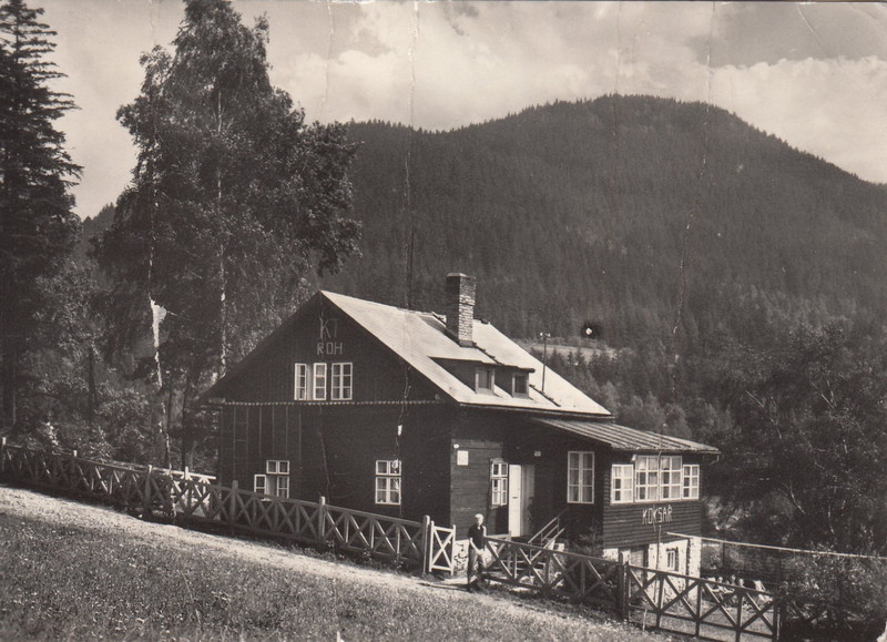 V001897
