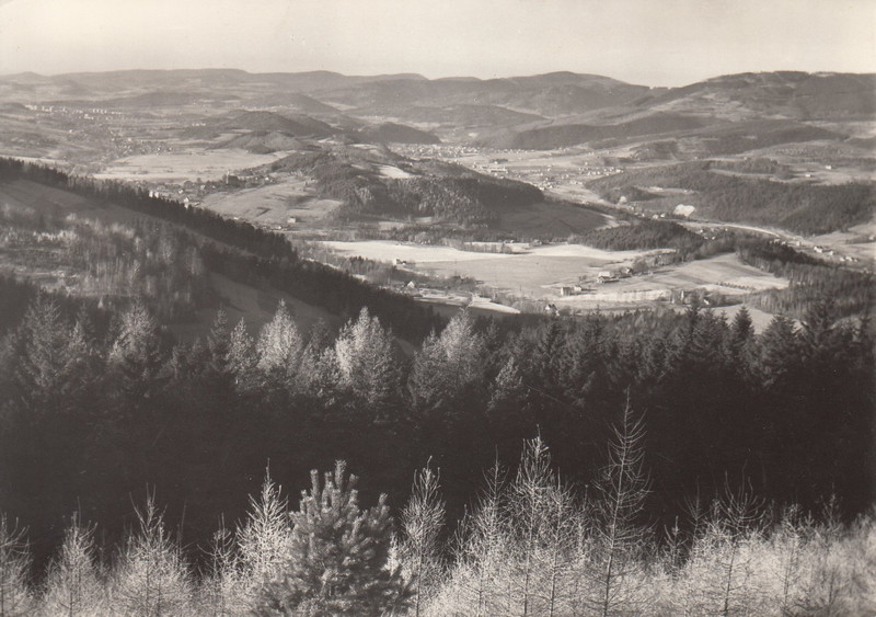 V001902