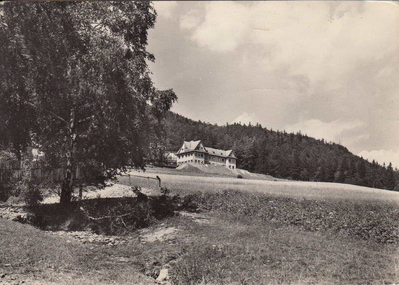 V001903