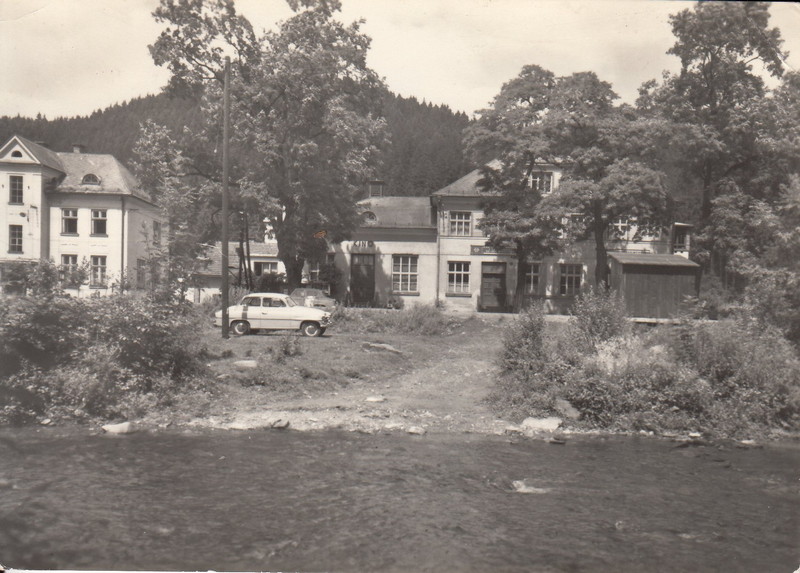 V001904