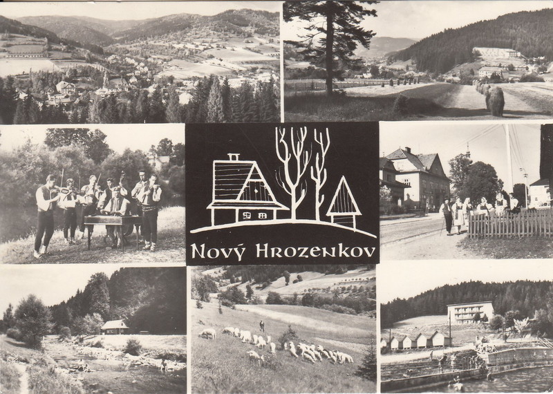 V001905