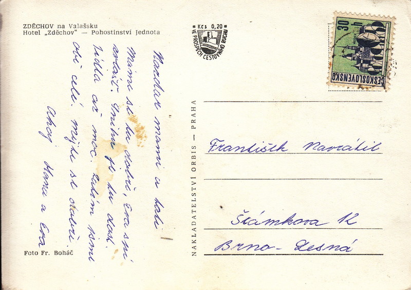 V001906