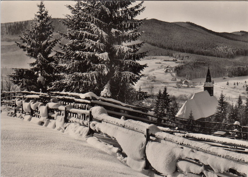 V001907