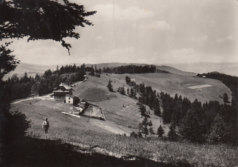 V001908