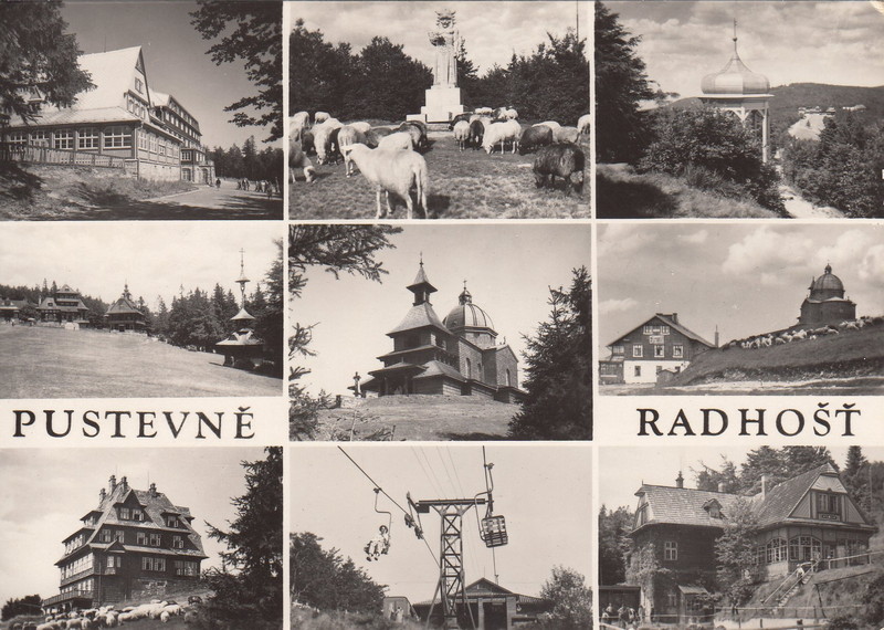 V001909