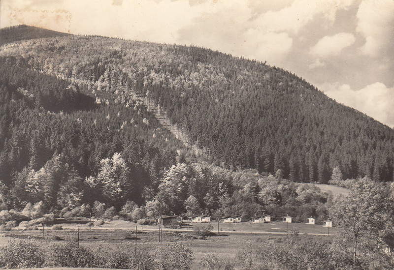 V001910