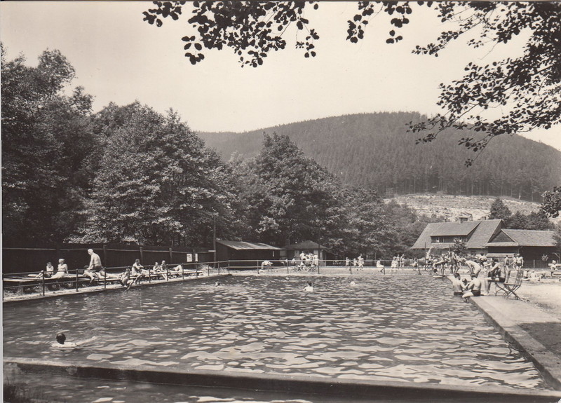 V001911
