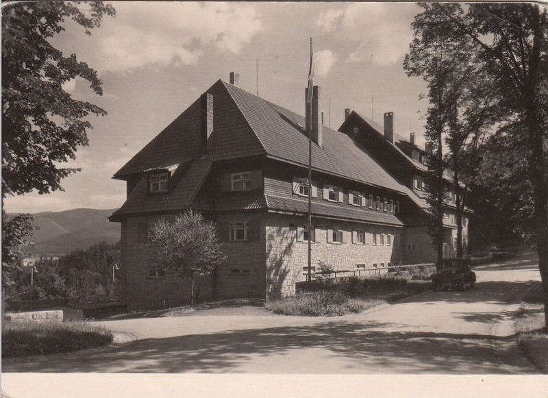 V001913